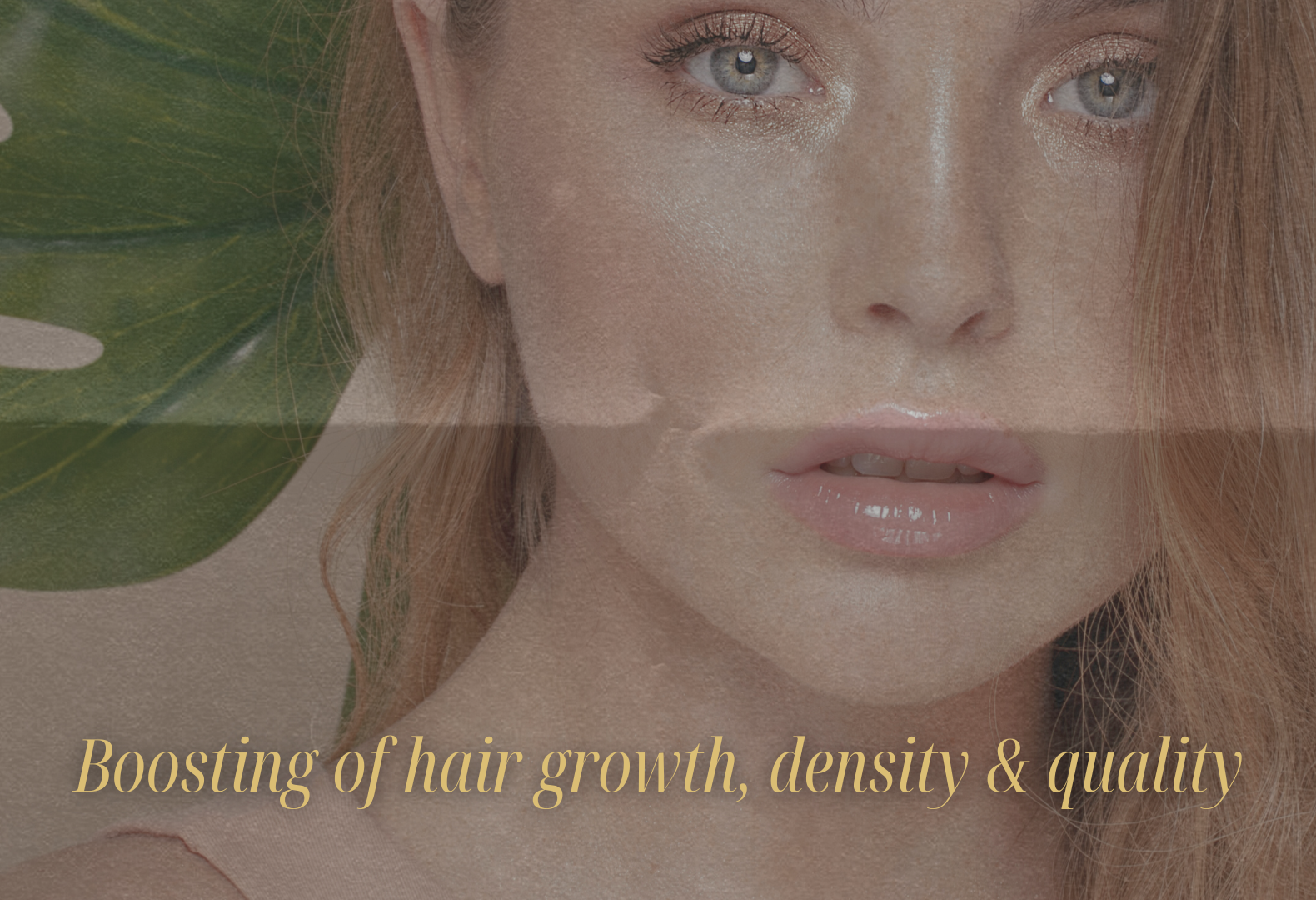 Capilia Longa™ – A Natural Solution for Hair Loss?